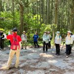 JRハイキング（新緑の山に仏教文化の史跡を訪ねる） 　樹齢１０００年の逆杉を訪ねるトレッキング